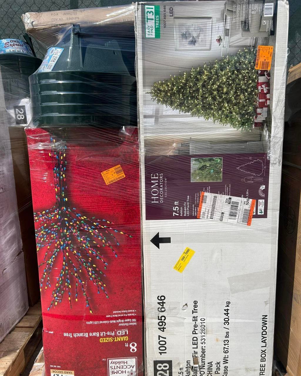 Christmas Tree Sale
