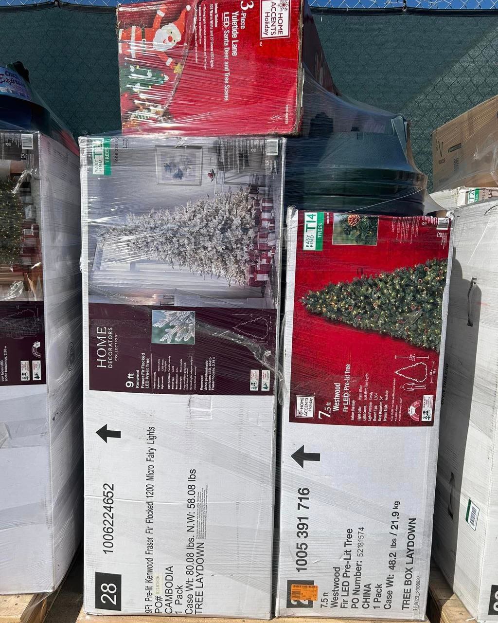 Christmas Tree Sale