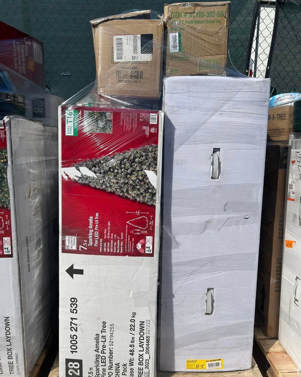 Christmas Tree Sale