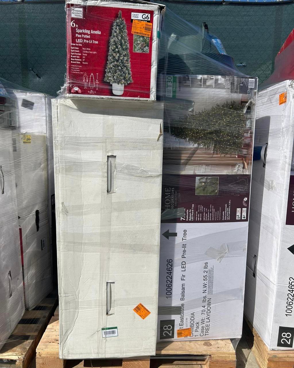 Christmas Tree Sale