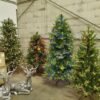Christmas Trees and Decorations