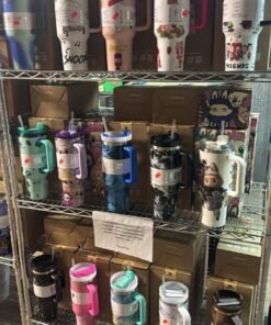 Stanley & Owala Cups