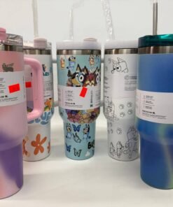 Stanley & Owala Cups